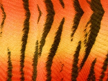 Bengal Tiger Stretch Net - Neon Red/Flame Red/Sunrise