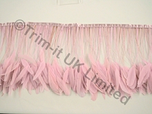 20cm Stripped Coque Feather Fringe - Pale Pink