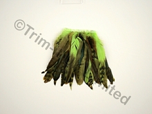 20cm Full Feather Mixed Coque Fringe10cm piece - Tropic Lime