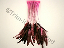 35cm Stripped Feather Mixed Coque 10cm pc - Neon Cerise