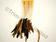 35cm Stripped Feather Mixed Coque 10cm pc - Sunrise