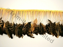 20cm Stripped Feather Mixed Coque Fringe - Sunrise