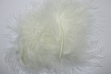 Marabou Small Feathers(approx.20 per pkt.) - Silk(Off White)