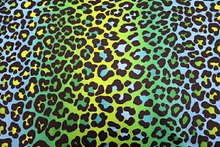 Ombre Leopard Lycra - Barbados/Emerald/Leaf Green