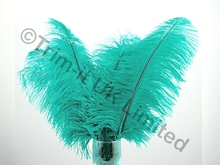 Ostrich Plumes-Spadones Pack of 10 - Emerald.