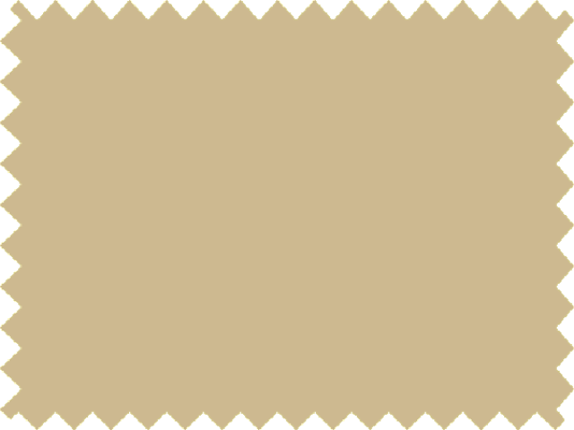 Stretch Net 3 - light Flesh
