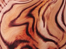 Avantgarde Lycra - Flesh/American Tan