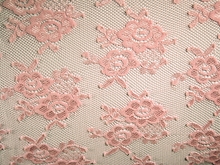 Belle Stretch Lace - Pale Pink