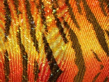 Bengal Tiger Hologram Lycra - Neon Red/Flame Red/Sunrise