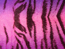 Bengal Tiger Lycra - Purple/Magenta/Neon Candy