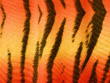 Bengal Tiger Lycra - Neon Red/Flame Red/Sunrise