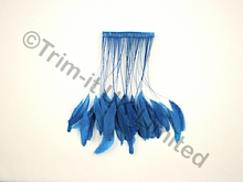 20cm Stripped Coque Feather Fringe 10cm piece - Electric Blue
