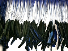 35cm Stripped Feather Mixed Coque Fringe - Ocean Blue