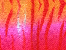 Flourescent Bengal Tiger Iris Lycra - Flo. Apricot/Neon Cerise