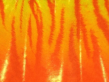 Flourescent Bengal Tiger Iris Lycra - Tropic Lime/Flo. Orange