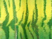 Flourescent Bengal Tiger Iris Lycra - Flo. Apple/Turquoise