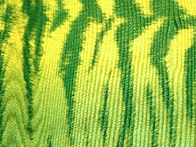 Flourescent Bengal Tiger Lycra - Flo. Apple/Turquoise
