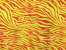 Hunter Lycra - Tropic Lime/Red