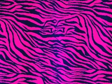 Hunter Lycra - Electric Pink/Sapphire