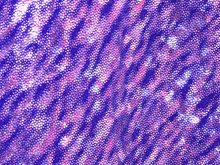 Meteor Silver Hologram Lycra - Royal Blue