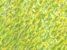 Meteor Silver Hologram Lycra - Tropic Lime