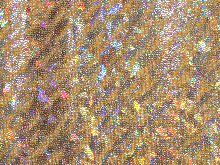 Meteor Silver Hologram Lycra - Gold