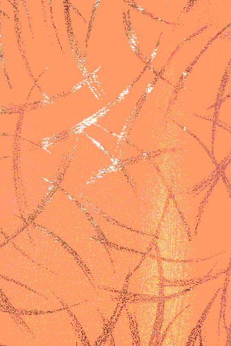 Samurai Metallic Lycra SALE WAS �25 - Melon