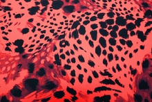 Snow Leopard Lycra - Flame Red/Black