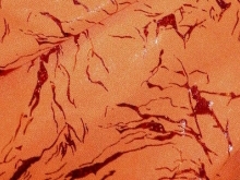 Storm Hologram Lycra SALE - Flo. Orange