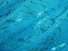 Storm Hologram Lycra SALE - Turquoise