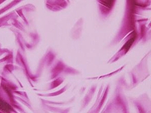 Strobe Lycra  SALE WAS �21 - Pale Pink/Fuchsia Pink
